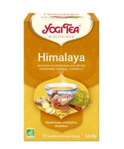 Himalaya - Infusion ayurvédique